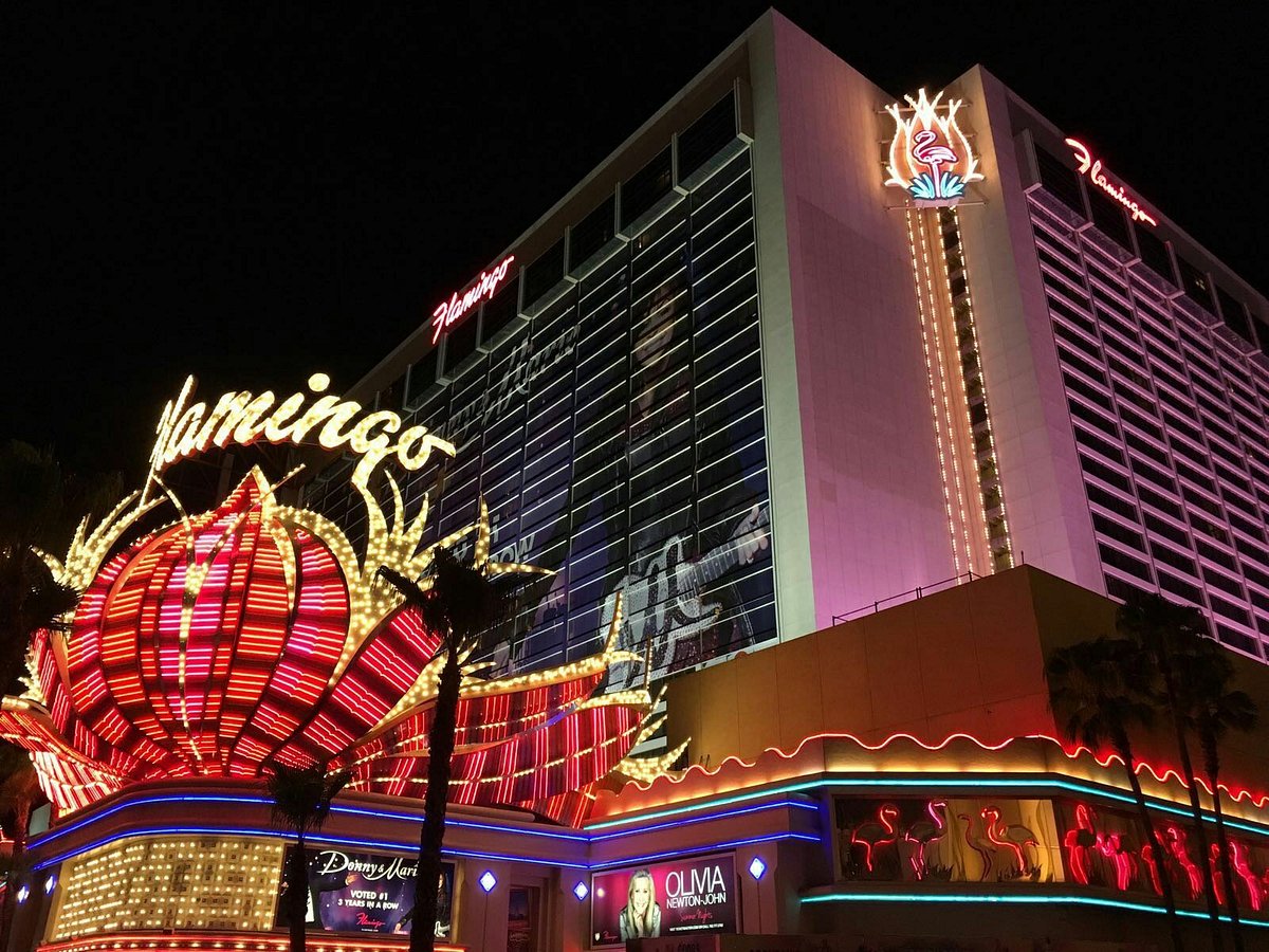 娛樂城 casion 世界盃 世足盃 NBA MLB 歐冠 運彩 運動 台灣 彩卷 539彩球 歐洲足球聯賽 現金版 現金網 遊戲 真人娛樂 體育 電子遊戲 2026世界盃 2026世足盃 Casino casion World Cup World Cup NBA MLB Champions League Lottery Sports Taiwan Lottery 539 Lottery